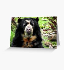 Spectacled Bear Greeting Card