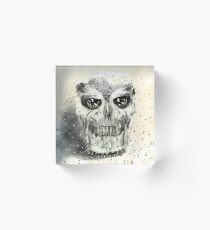 Human skull owl Acrylic Block