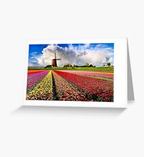 BULBS FIELDS Greeting Card