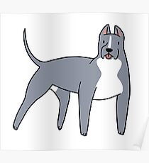 Pitbull Poster