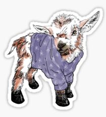 Baby goat in a sweater Sticker