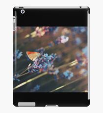 Butterfly iPad Case/Skin