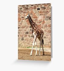 Giraffe Greeting Card