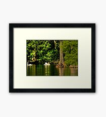 Swan Lake with a bit of HDR Tone Mapping Framed Print