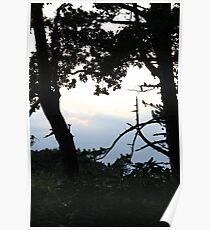 Calm Before the Storm Poster