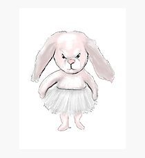 rosa Hase Fotodruck