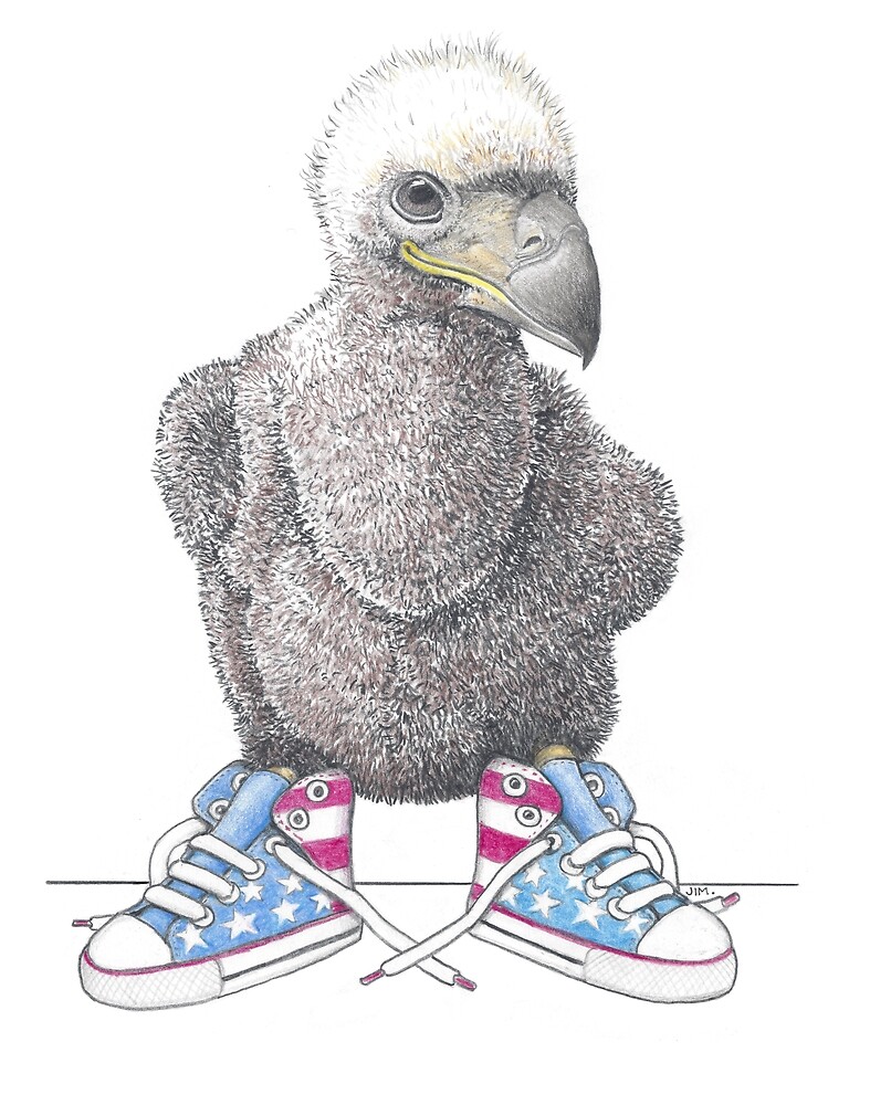Eaglet in Stars & Stripes Sneakers by JimsBirds