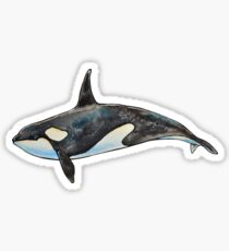 Pegatina Orca en azul