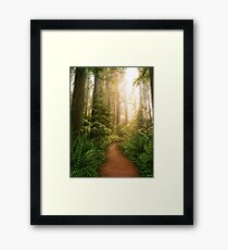 Sanctuary Framed Print