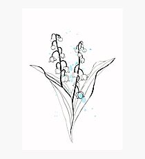 Lily of the valley Photographic Print