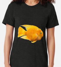 Parrot fish illustration Tri-blend T-Shirt