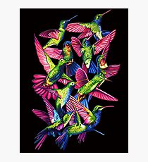 Hummingbird Dance in Sharpie Photographic Print