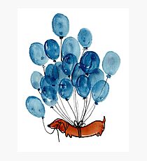 Dackel Hund und Ballons Fotodruck