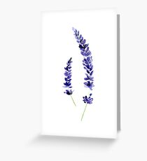 Lavender Greeting Card