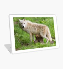 Arctic wolf feeding pups Laptop Skin