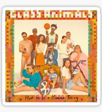Glass Animals - How to be a Human Being Sticker