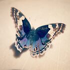 «SIGUE VOLANDO» de MallsD