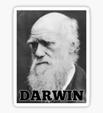 Darwin Sticker