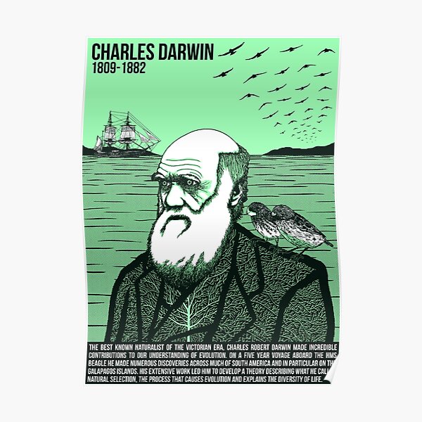 Darwin Posters Redbubble