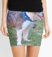 Kirby 18 Mini Skirt