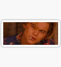 Leonardo Dicaprio Sticker