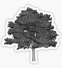 Oak Tree Sticker
