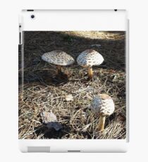 Natural Mushrooms iPad Case/Skin