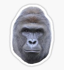 Harambe Sticker