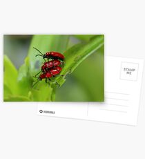 Three in Bed Postcards
