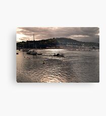 Mercury Rising Metal Print