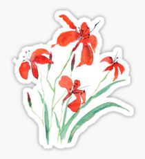 orange day lily Sticker