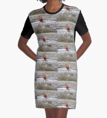 Orange dot . Graphic T-Shirt Dress