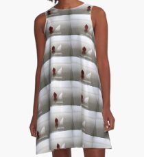 Red Berry . A-Line Dress