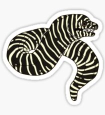 Zebra Moray Sticker