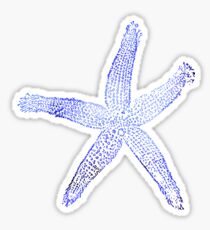 Blue Starfish Sticker