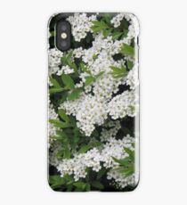 Pretty White Spirea Blossoms iPhone Case