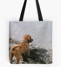 Gimli Pausing Tote Bag