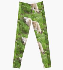 Arctic wolf feeding pups Leggings