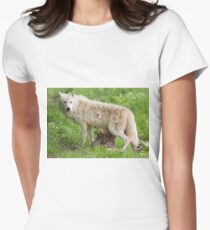 Arctic wolf feeding pups Women's Fitted T-Shirt
