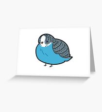 Chubby Budgie Greeting Card