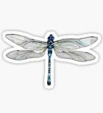 Dragonfly Sticker