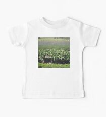 dwarf Baby Tee