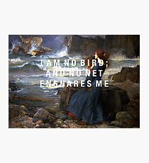 i am no bird Photographic Print