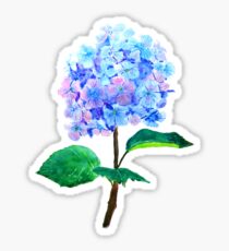 blue purple hydrangea Sticker