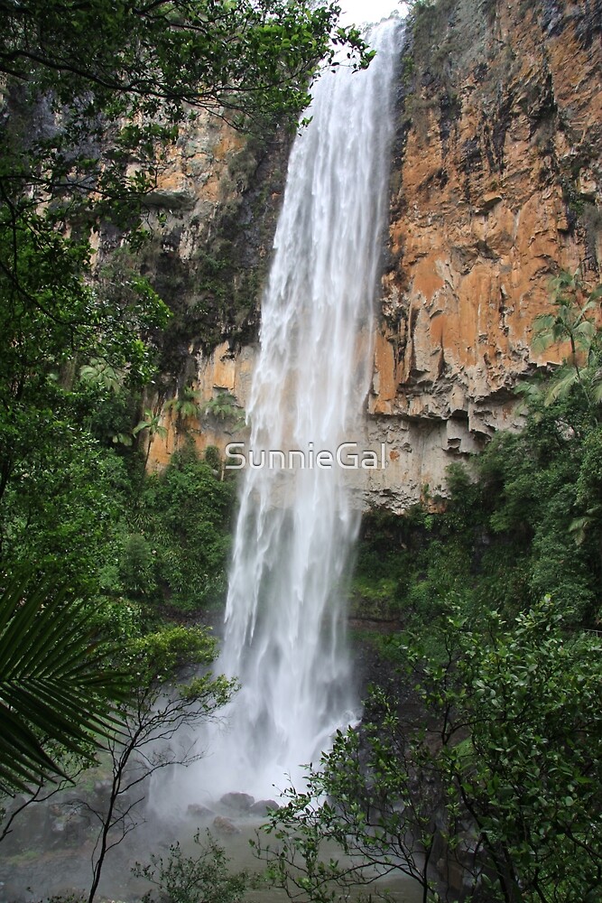 Purling Brook Falls Springbrook National Park By Sunniegal