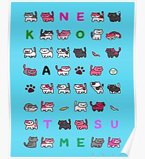 pussies adventure Poster