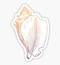 Conch Sticker