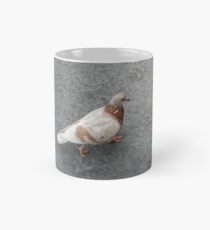 Albino Pigeon Mug