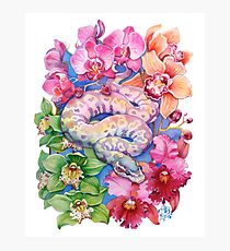 "Year of the Snake" - Chinese Zodiac Watercolour Photographic Print