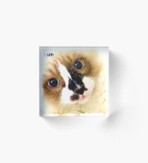 Alf Acrylic Block
